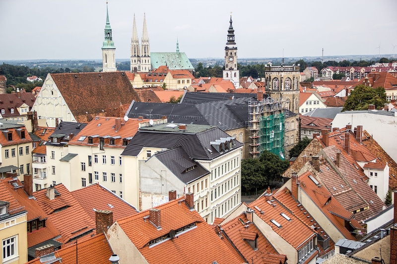Professionelle Teppichreinigung in Görlitz und der Region